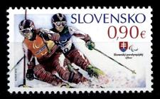 Paralympische Winterspiele, Sotschi. Ski alpin für Blinde. Slowakei  2014