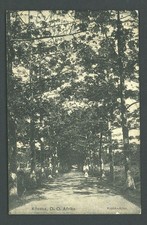 Ansichtskarte Deutsch Ostafrika Kilossa - Kapok-Allee