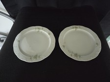 Rosenthal Monbijou Grüne