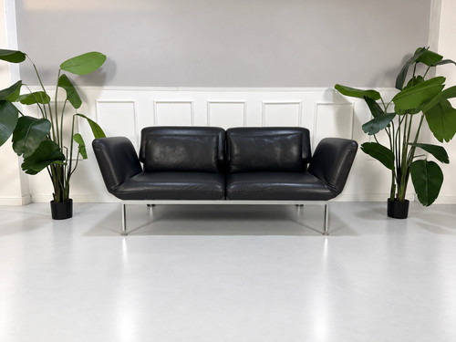 Brühl roro medium sofa - roro,
