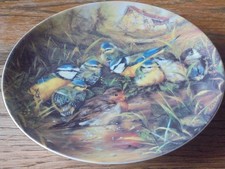 Bradex Sammelteller‚“ Rotkehlchen beim Baden“ Teller Nr. A 5226