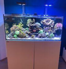 Meerwasser Aquarium Red Sea Reefer 350 komplett (Technik, Fische, Korallen)