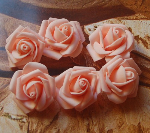 Schaumrosen softrosen rosen - schaumrosen,