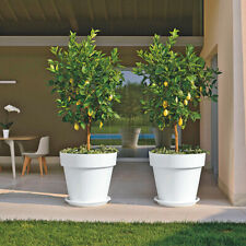 Blumentopf mit Untersetzer 7