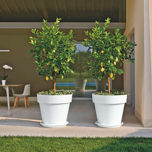 Blumentopf mit untersetzer - blumentopf,