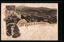 Lithographie Hasserode bei Wernigerode, Teilansicht, Schloss Wernigerode, Stein 