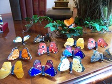 Schmetterling mit Klammer 12