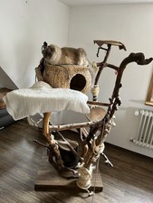 Kratzbaum Kletterbaum Katzen mit Liegeflächen Katzenhöhle Katzenbaum Holz