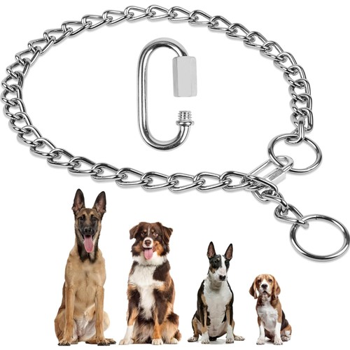 Hundehalsband edelstahl - hundehalsband,