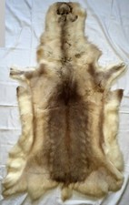Echtes Rentierfell aus Finnland, 148 x 75 cm, Fell, Rentier