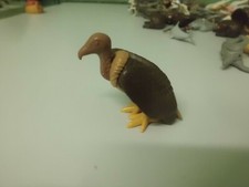 Geier Sitzend für  Western