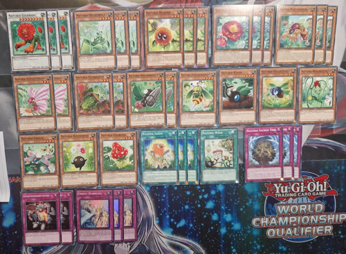 Naturia natur - yu-gi-oh!, naturia,