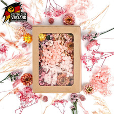 Trockenblumen Set Basteln