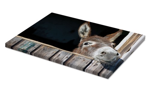 Leinwandbild süßer - leinwandbild,