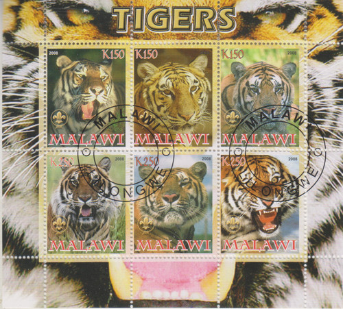 Tiger malawi gestempelt - malawi, 8616