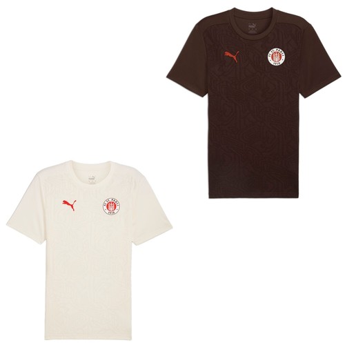Puma pauli - puma, st.