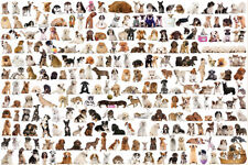 Puzzle Die Welt der Hunde