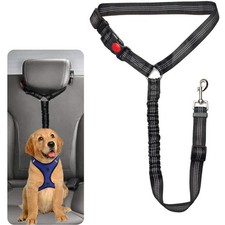 Sicherheitsgeschirr hund auto - hund,
