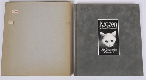 Katzen spiel und - und, geheimnis