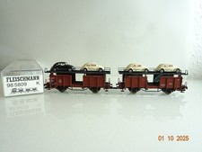 Fleischmann H0 985809 Autotransportwagen Set 2 tlg. der DB in OVP BH238