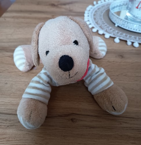 Sterntaler hund hanno - hund, rassel