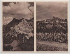 D. R. Bildpostkarte P 254 ungebraucht Kartenpaar ZUGSPITZE / NEU-LEININGEN [241]