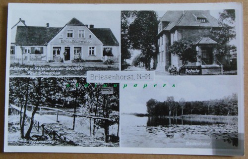 Briesenhorst brzezno landsberg - brzezno,