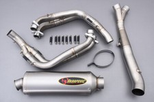 Auspuffanlage AKRAPOVIC EVO2