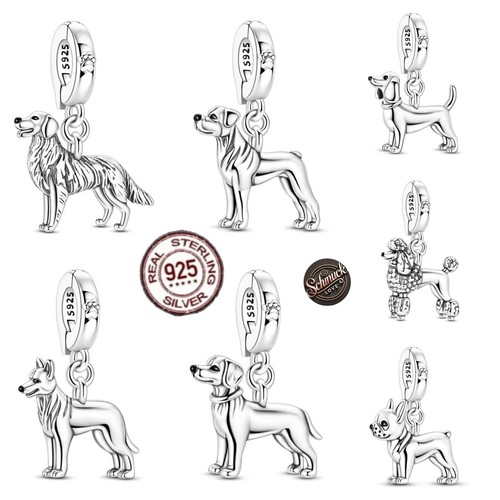 Hunde charm anhänger 925 - charm,
