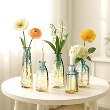 5X Mini Glasvasen für