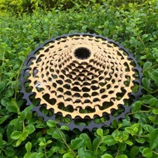 12-Gang 10-50T Golden MTB