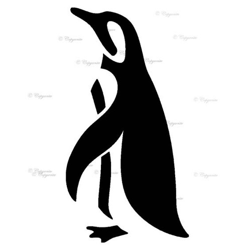Pinguin winter antarktis - pinguin,