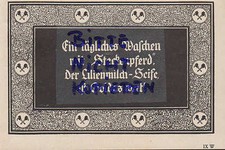 RADEBEUL, Werbung 1929, Bergmann & Co. Steckenpferd Lilienmilch Seife