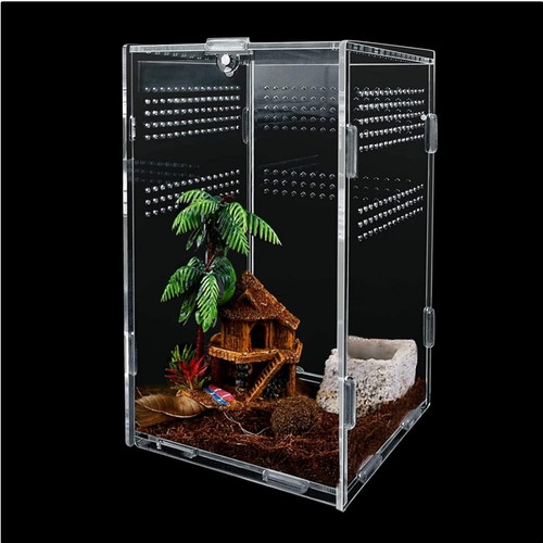 Insektenterrarium acryl - insektenterrarium,