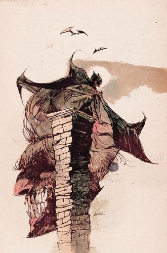 Batman joker the - joker, duo