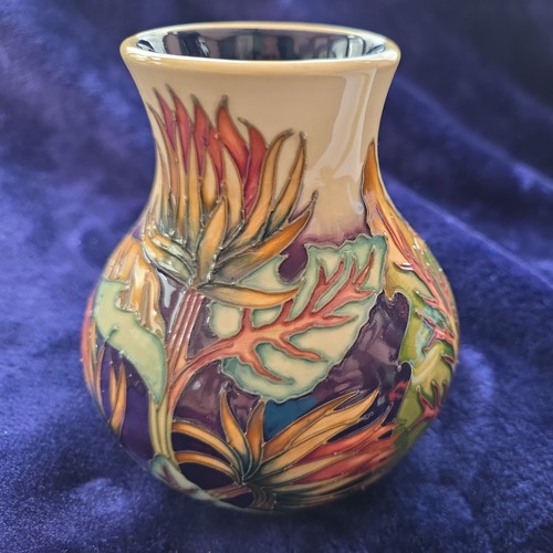Moorcroft klettenvase 869 - moorcroft, klettenvase,