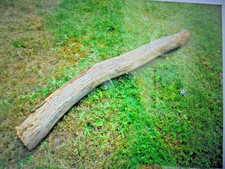 Eiche Baumstamm 130cm Eichenstamm  Ø 14 cm