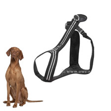 Führgeschirr, Zuggeschirr