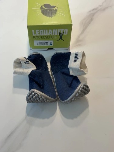 Leguano leguanito - leguano,