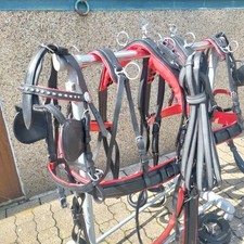 Top  Leder Zweispänner  Geschirr  Shetty Schwarz/rot Mit Hintergeschirr 