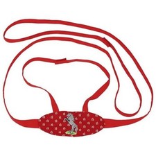 Pferdeleine mit Bestickung