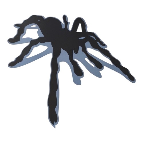 Aufkleber spinne vogelspinne - aufkleber,