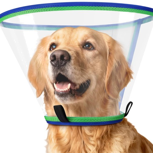 Hund halskrause schutzkragen - hund,