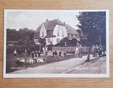 Alte AK Rauschen Düne Eisenbahner Erholungsheim Swetlogorsk Ostpreußen Ostsee