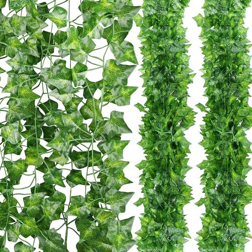 12x hängepflanze ivy - 12x,