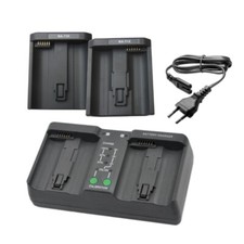 Zweikanal-Ladegerät für