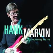 Shadowing the hits von hank - the,