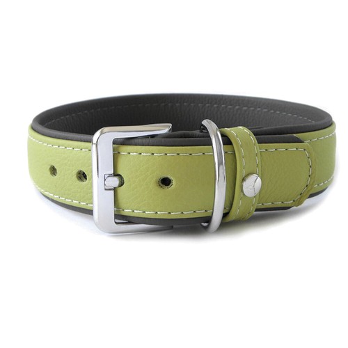 Das lederband hunde halsband - hunde,