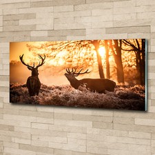 Glas-Bild Wandbilder Druck auf