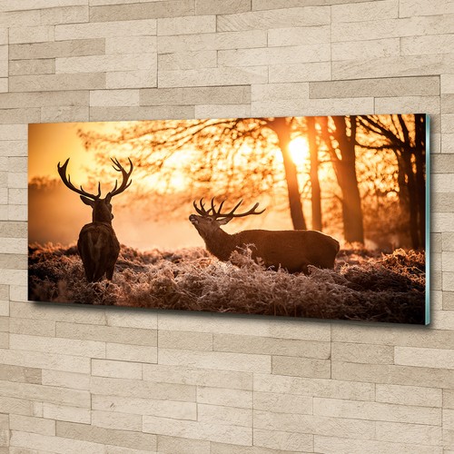Glas bild wandbilder druck auf - wandbilder,